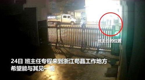 苟晶最新爆料视频,揭露教育不公背后的惊人真相